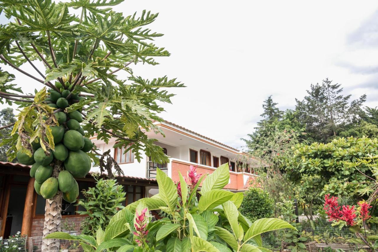 Hotel Garden House Vilcabamba Zewnętrze zdjęcie