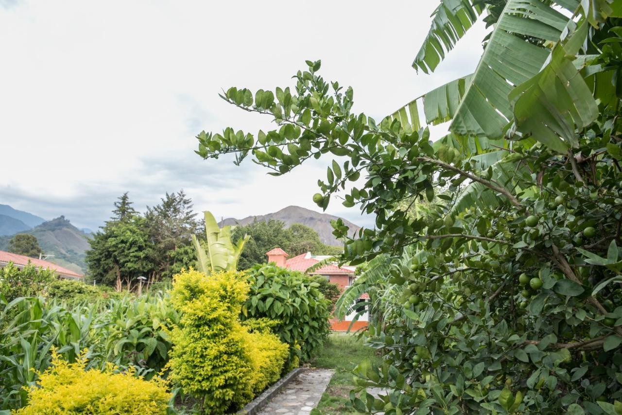 Hotel Garden House Vilcabamba Zewnętrze zdjęcie